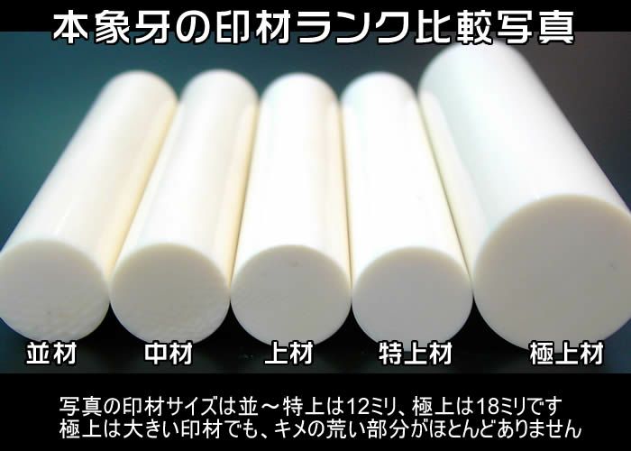 会社印鑑○本象牙並材【角印18・21・24mmか割印33mm】吉相サイズ【完全