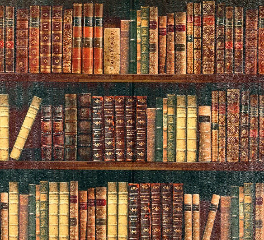 【タペストリー＆のれん】BOOKSHELF本棚【幅85cm×長さ150cm】14447暖簾[間仕切り/テレワーク/リモートワーク背景/オンライン宅飲み背景/ロングのれん]【あす楽対応】999860【ネコポス送料無料】